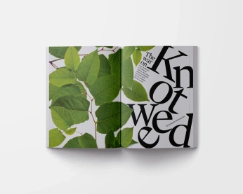 A cover of "Entradillas" cluster. The owner is yexalened. The cluster consists of 28 elements.