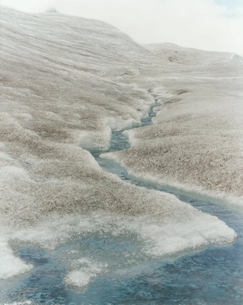 A cover of "NAture" cluster. The owner is dgstudio. The cluster consists of 2 elements.