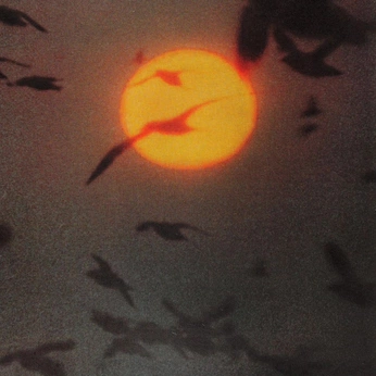 A cover of "Golden hour" cluster. The owner is touchmytoes. The cluster consists of 30 elements.