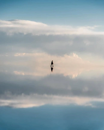 A cover of "keith" cluster. The owner is iamyunaya. The cluster consists of 58 elements.