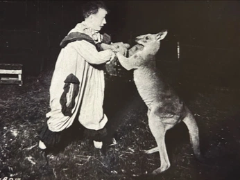 A cover of "gracia" cluster. The owner is nonanunen. The cluster consists of 1 element.