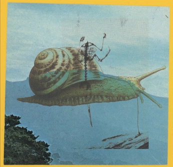 A cover of "snail studies" cluster. The owner is davidchoe. The cluster consists of 14 elements.