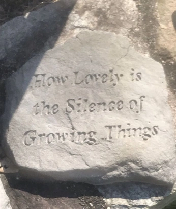 A cover of "grabstein" cluster. The owner is valivalentin. The cluster consists of 8 elements.