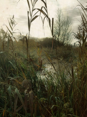 A cover of "MAR.SH" cluster. The owner is loremipzum. The cluster consists of 2 elements.