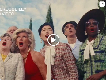 A cover of "lacoste" cluster. The owner is buseyigit. The cluster consists of 13 elements.