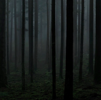 A cover of "entrega touch y notch" cluster. The owner is riskdesign. The cluster consists of 26 elements.