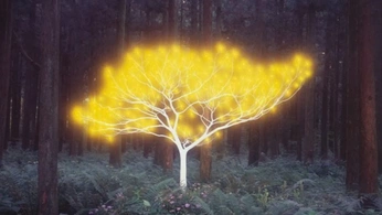 A cover of "Portfolio" cluster. The owner is giannantonio. The cluster consists of 10 elements.