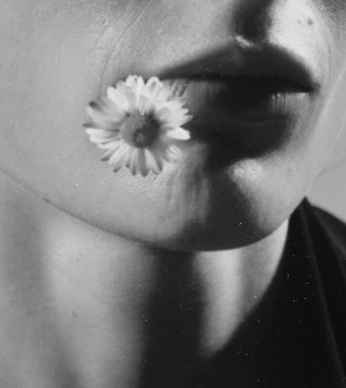 A cover of "To use for collages 1" cluster. The owner is willlyyybechler. The cluster consists of 2 elements.