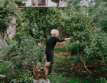 A cover of "gardens" cluster. The owner is grantb88. The cluster consists of 6 elements.