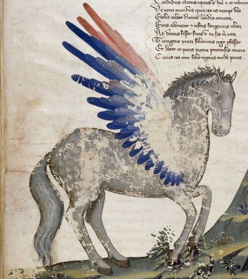 Marginalia & confessions