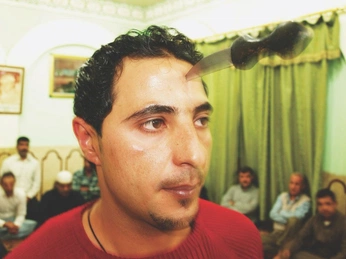 A cover of "VICE" cluster. The owner is timothy. The cluster consists of 2 elements.