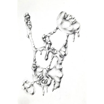 A cover of "Drawings" cluster. The owner is luca.stip. The cluster consists of 5 elements.