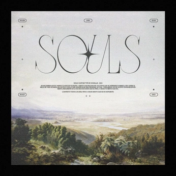 A cover of "soulété" cluster. The owner is e.crusells. The cluster consists of 30 elements.