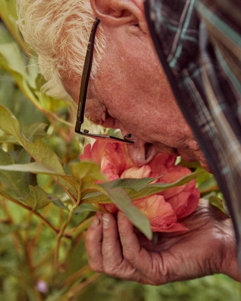 A cover of "Calm" cluster. The owner is gigielyse. The cluster consists of 1 element.