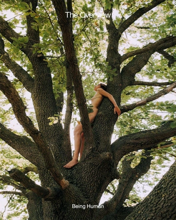 A cover of "Composition" cluster. The owner is andrewee. The cluster consists of 20 elements.