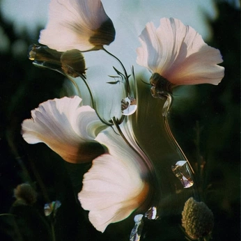 A cover of "Z labs inspo" cluster. The owner is 77sebasr. The cluster consists of 139 elements.