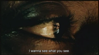 A cover of "Lov" cluster. The owner is bri888. The cluster consists of 4 elements.