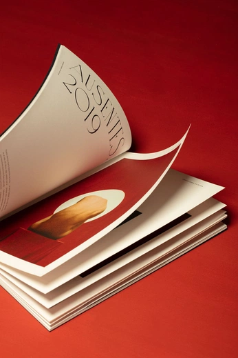 A cover of "Shootings" cluster. The owner is dlbpaula. The cluster consists of 11 elements.