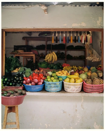 A cover of "Life" cluster. The owner is lykancense. The cluster consists of 9 elements.