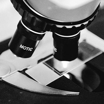 A cover of "Nalin Ayutthaya" cluster. The owner is skylarsblue. The cluster description is "SCP - Doctor: A little empathy goes a long way.". The cluster consists of 19 elements.