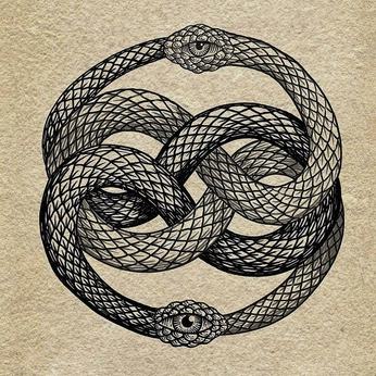 A cover of "Snake" cluster. The owner is bbisamess. The cluster consists of 2 elements.