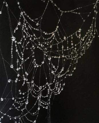 A cover of "inspiration" cluster. The owner is justin.seagull. The cluster consists of 4 elements.