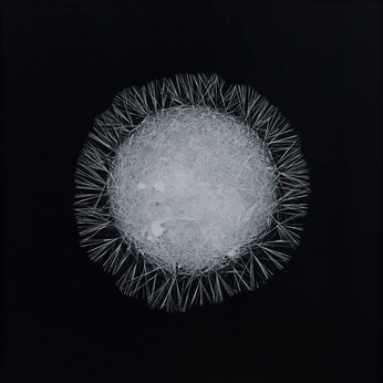 A cover of "Sacer Circuitus" cluster. The owner is hydraeatmenot. The cluster consists of 39 elements.