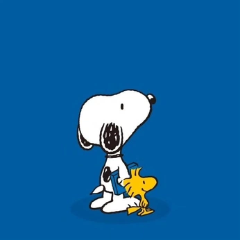 A cover of "Snoopy" cluster. The owner is ola2304. The cluster consists of 3 elements.