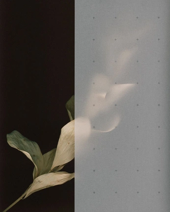 A cover of "poetic space" cluster. The owner is isleofecho. The cluster consists of 15 elements.