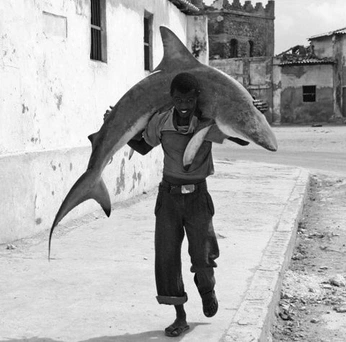 A cover of "🩶" cluster. The owner is chanc. The cluster consists of 1 element.