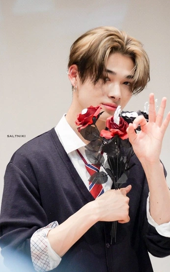 A cover of "♡ NIKI ♡" cluster. The owner is frequentlykit. The cluster consists of 455 elements.