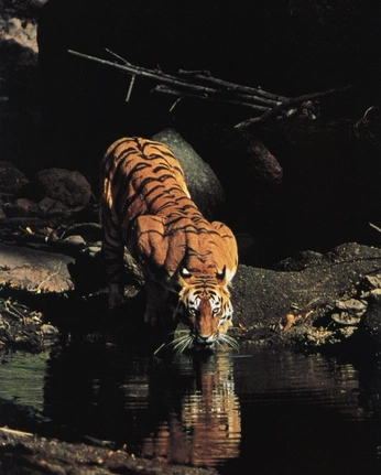 A cover of "Cool" cluster. The owner is parkermartin. The cluster consists of 16 elements.