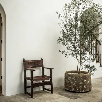 A cover of "Macetas" cluster. The owner is danibarrap. The cluster consists of 29 elements.