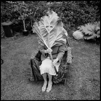 A cover of "Room" cluster. The owner is igorfau. The cluster consists of 41 elements.