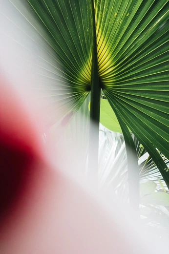 A cover of "MOOD BOARD ME" cluster. The owner is savaso. The cluster consists of 21 elements.