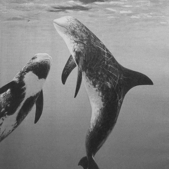 A cover of "/Dreamy/" cluster. The owner is indigoskies. The cluster consists of 27 elements.