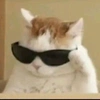 salemthecat's avatar