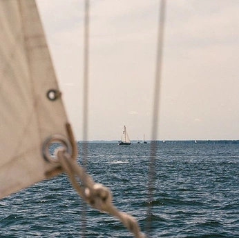 A cover of "💙🤍" cluster. The owner is liliofthevalley. The cluster description is "greece". The cluster consists of 31 elements.