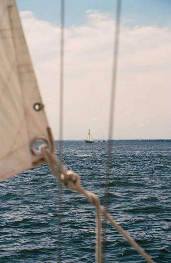 A cover of "Gecko Photography" cluster. The owner is matt.gecko. The cluster consists of 182 elements.