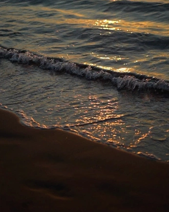 A cover of "Agencia" cluster. The owner is capitudigital. The cluster consists of 4 elements.