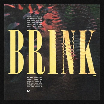 A cover of "TIPOGRAFIA" cluster. The owner is dubstev99. The cluster consists of 88 elements.