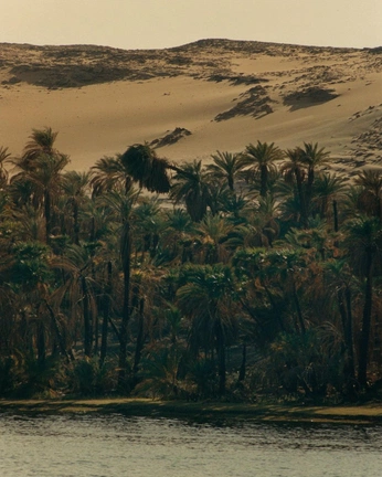 A cover of "DesertMotion" cluster. The owner is renemgibson. The cluster consists of 43 elements.