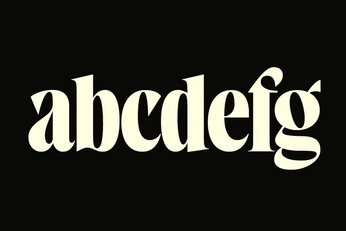 A cover of "typography" cluster. The owner is merce.stif. The cluster consists of 1 element.