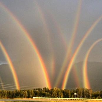 A cover of "efémera" cluster. The owner is icky01. The cluster consists of 473 elements.