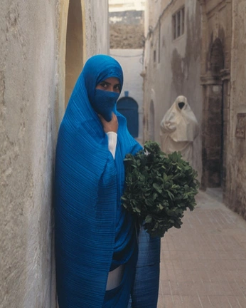 A cover of "zineb" cluster. The owner is bouziancopmans. The cluster consists of 66 elements.