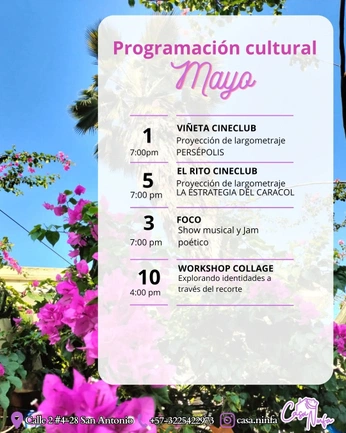 A cover of "instagram4" cluster. The owner is lasalas. The cluster consists of 1 element.