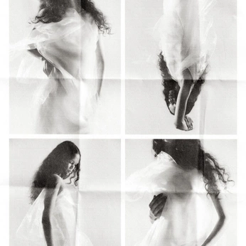 A cover of "Shoot" cluster. The owner is irismorrison. The cluster consists of 7 elements.