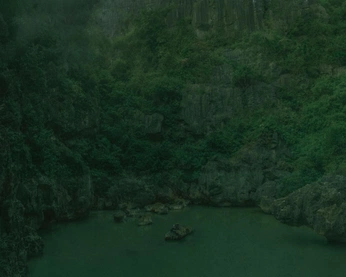 A cover of "nature" cluster. The owner is mhrdini. The cluster consists of 25 elements.