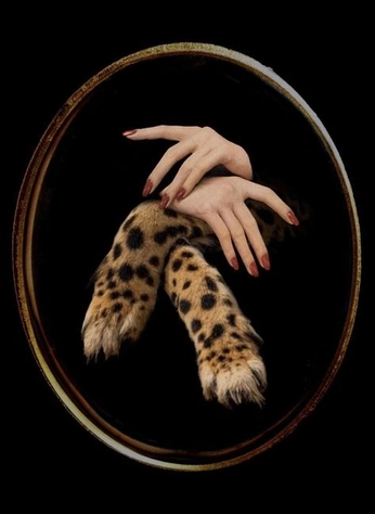 A cover of "Fe" cluster. The owner is youngmasterpiece. The cluster description is "Frau Woman Femme Žena Wahine Mulher  Vrouw". The cluster consists of 39 elements.