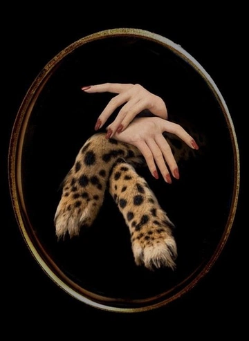 Cover of gestural archive cluster